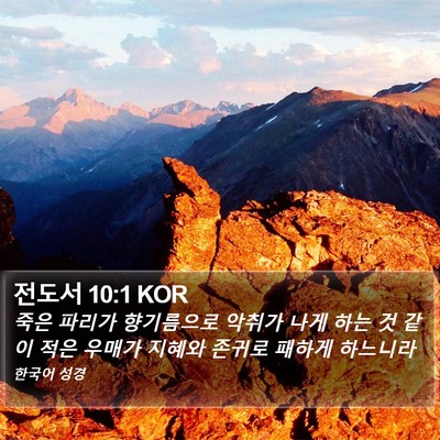 전도서 10:1 KOR Bible Verse Image