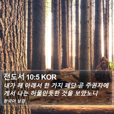 전도서 10:5 KOR Bible Verse Image