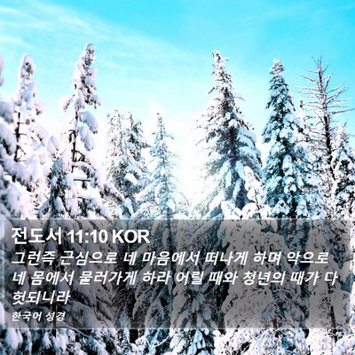 전도서 11:10 KOR Bible Verse Image