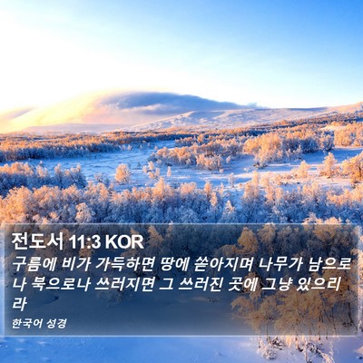 전도서 11:3 KOR Bible Verse Image