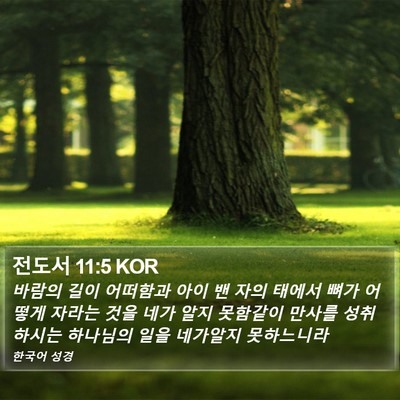 전도서 11:5 KOR Bible Verse Image