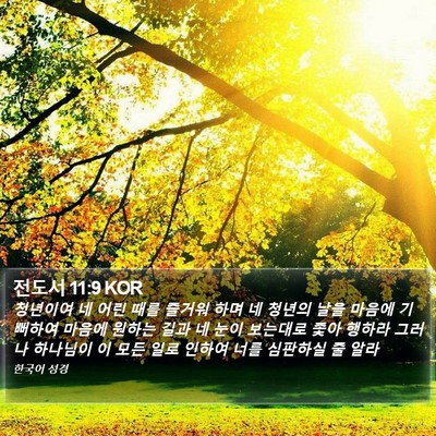 전도서 11:9 KOR Bible Verse Image
