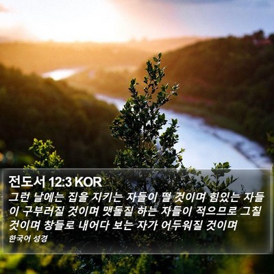 전도서 12:3 KOR Bible Verse Image