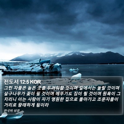 전도서 12:5 KOR Bible Verse Image