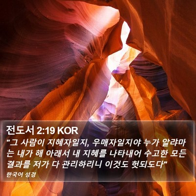 전도서 2:19 KOR Bible Verse Image
