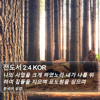 전도서 2:4 KOR Bible Verse Image