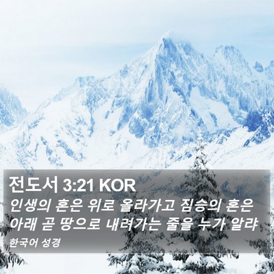 전도서 3:21 KOR Bible Verse Image