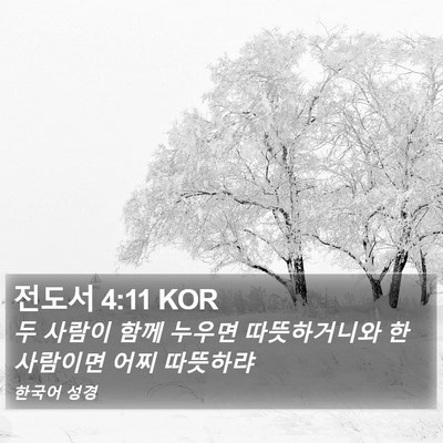 전도서 4:11 KOR Bible Verse Image