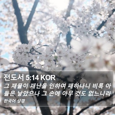 전도서 5:14 KOR Bible Verse Image