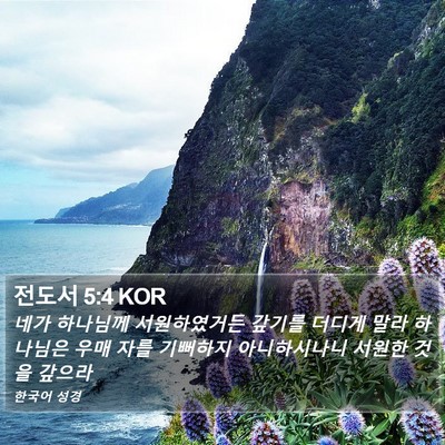전도서 5:4 KOR Bible Verse Image