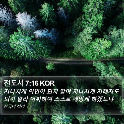 전도서 7:16 KOR Bible Verse Image