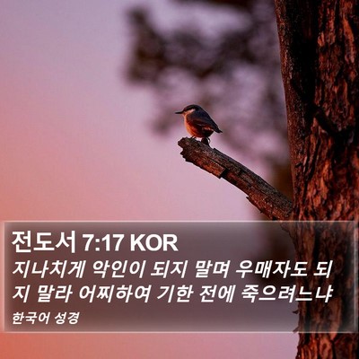 전도서 7:17 KOR Bible Verse Image