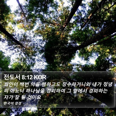 전도서 8:12 KOR Bible Verse Image