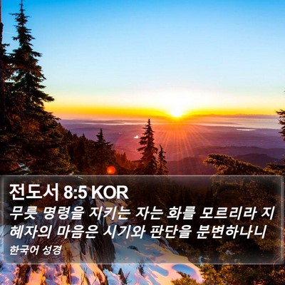 전도서 8:5 KOR Bible Verse Image
