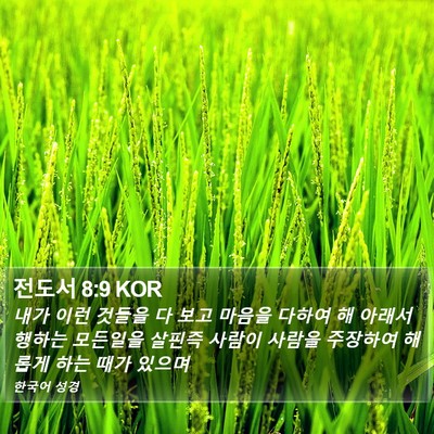 전도서 8:9 KOR Bible Verse Image