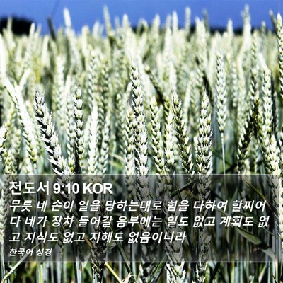 전도서 9:10 KOR Bible Verse Image
