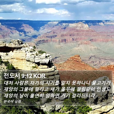 전도서 9:12 KOR Bible Verse Image
