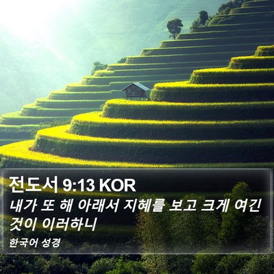 전도서 9:13 KOR Bible Verse Image