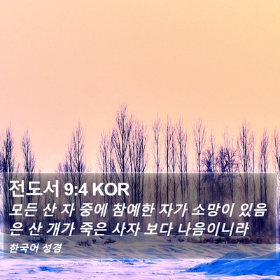 전도서 9:4 KOR Bible Verse Image