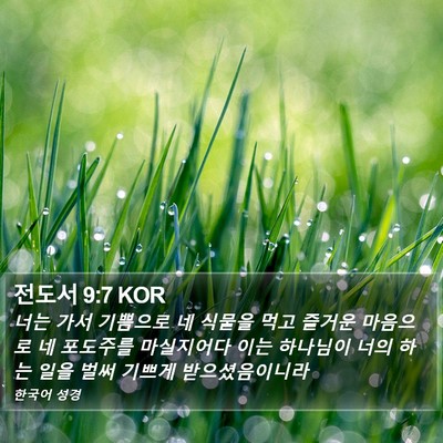 전도서 9:7 KOR Bible Verse Image