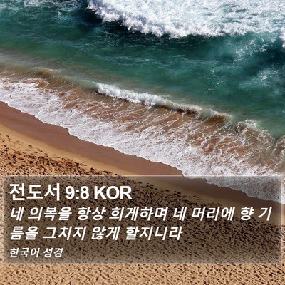 전도서 9:8 KOR Bible Verse Image