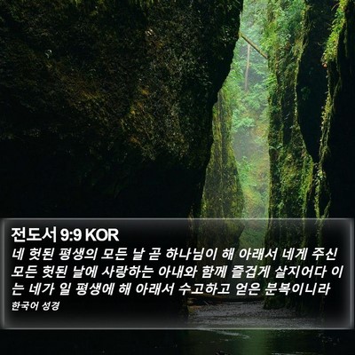 전도서 9:9 KOR Bible Verse Image