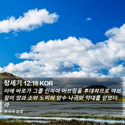 창세기 12:16 KOR Bible Verse Image
