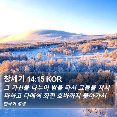 창세기 14:15 KOR Bible Verse Image