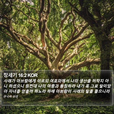 창세기 16:2 KOR Bible Verse Image