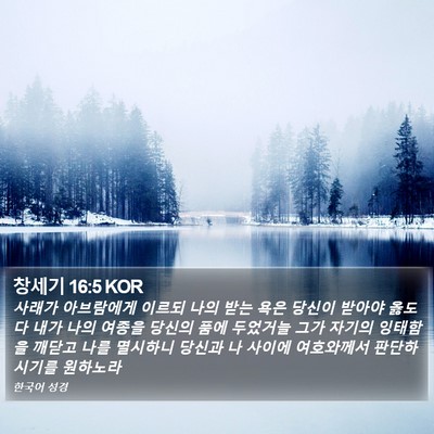 창세기 16:5 KOR Bible Verse Image