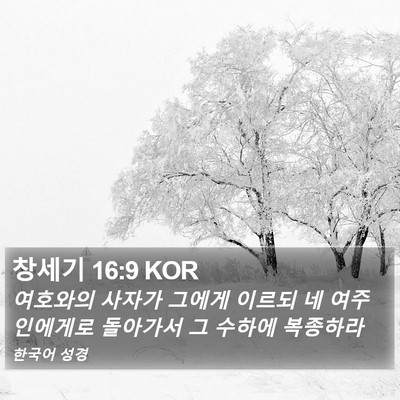 창세기 16:9 KOR Bible Verse Image