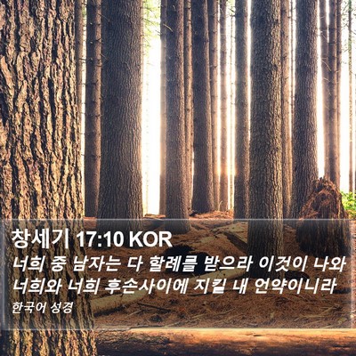 창세기 17:10 KOR Bible Verse Image