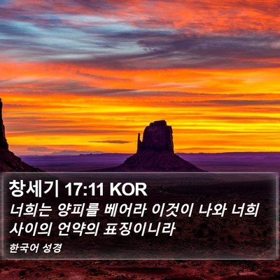 창세기 17:11 KOR Bible Verse Image