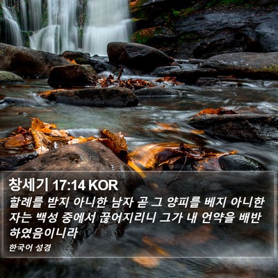 창세기 17:14 KOR Bible Verse Image