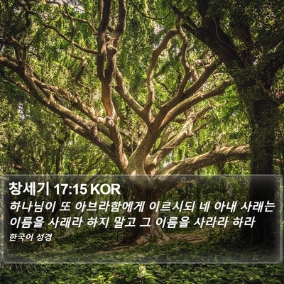 창세기 17:15 KOR Bible Verse Image