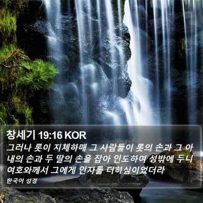 창세기 19:16 KOR Bible Verse Image
