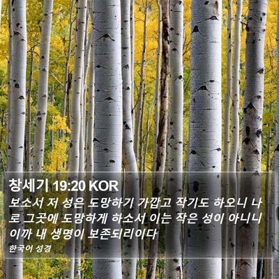 창세기 19:20 KOR Bible Verse Image