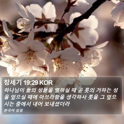 창세기 19:29 KOR Bible Verse Image