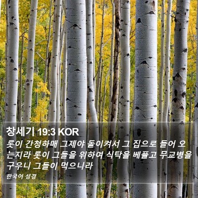 창세기 19:3 KOR Bible Verse Image
