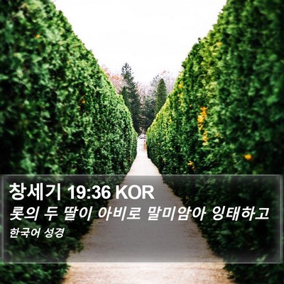 창세기 19:36 KOR Bible Verse Image