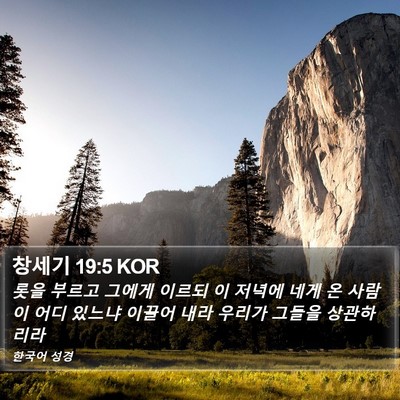 창세기 19:5 KOR Bible Verse Image