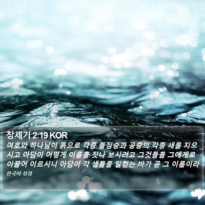 창세기 2:19 KOR Bible Verse Image