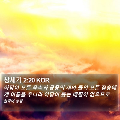 창세기 2:20 KOR Bible Verse Image