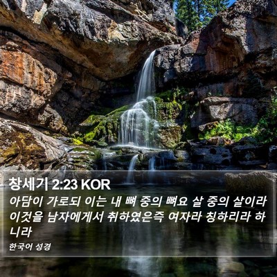 창세기 2:23 KOR Bible Verse Image