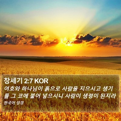 창세기 2:7 KOR Bible Verse Image
