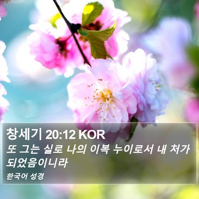 창세기 20:12 KOR Bible Verse Image