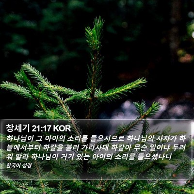 창세기 21:17 KOR Bible Verse Image