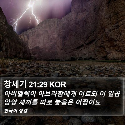 창세기 21:29 KOR Bible Verse Image