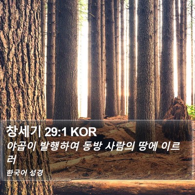 창세기 29:1 KOR Bible Verse Image