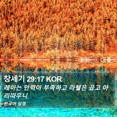 창세기 29:17 KOR Bible Verse Image